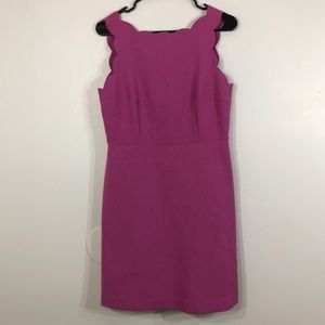 Loft Pink Sleeveles Midi 8P Dress